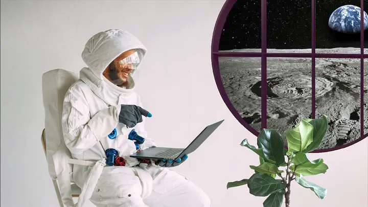 Buy Land At Moon Acres (Image)