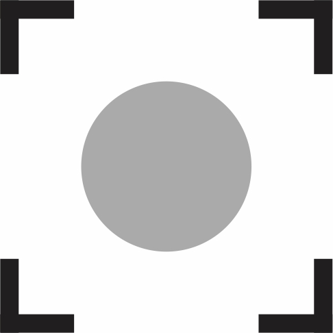 Official Lunar Registry logo