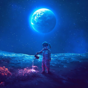 Perfect Moon Sympathy Gift (Image)